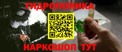 амф Камышлов