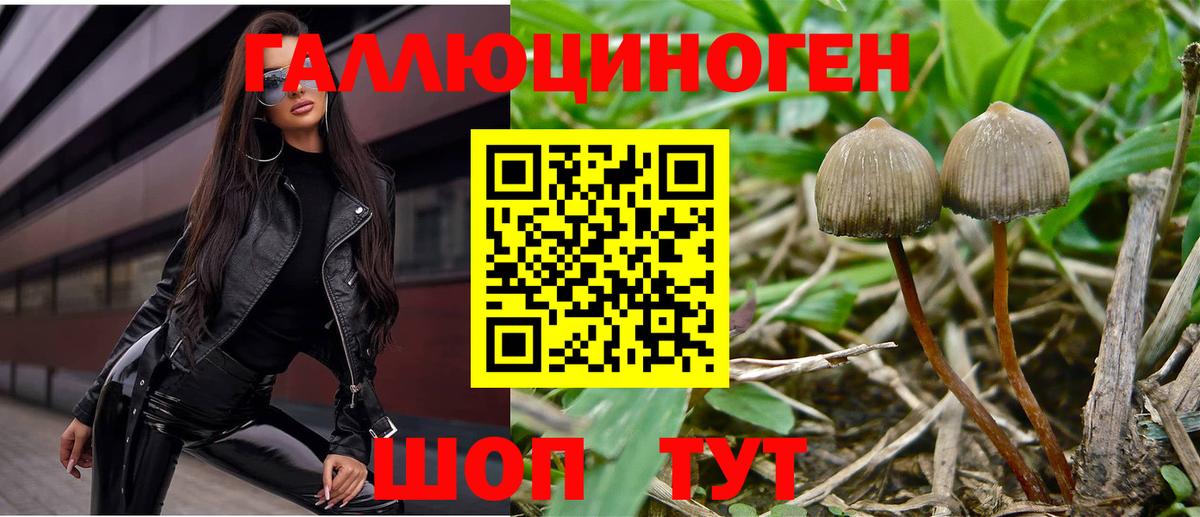 Вологда  Галлюциногенные грибы мухоморы  Вход с VPN  Галлюциногенные грибы прущие грибы 