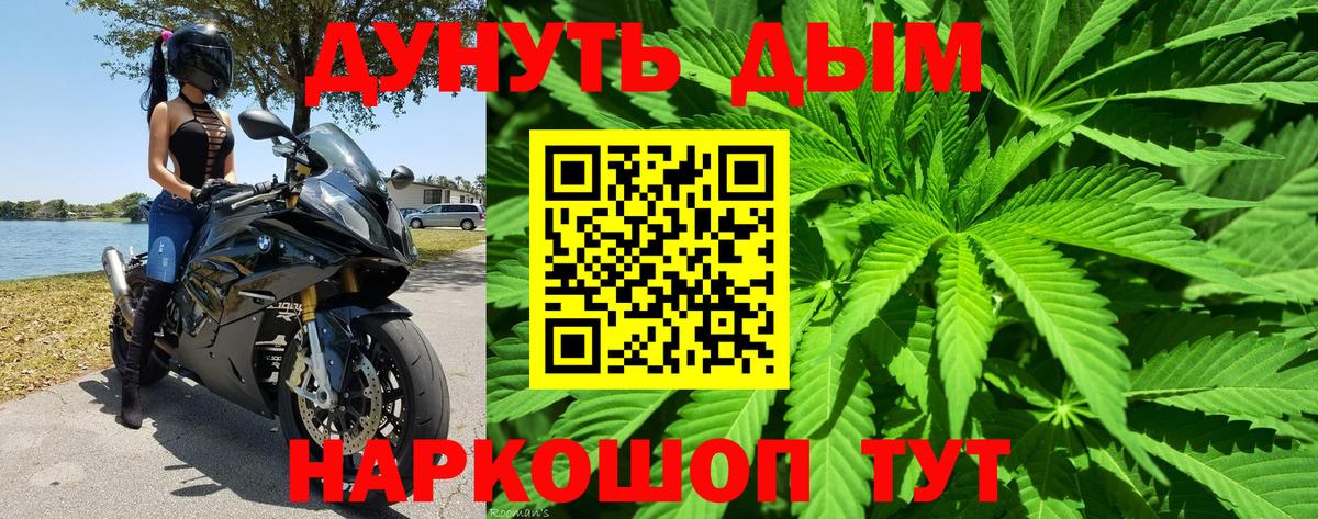 Шишки марихуана план  Вход с VPN  Каннабис SATIVA & INDICA  Шишки марихуана SATIVA & INDICA  Вологда  Шишки марихуана LSD WEED 